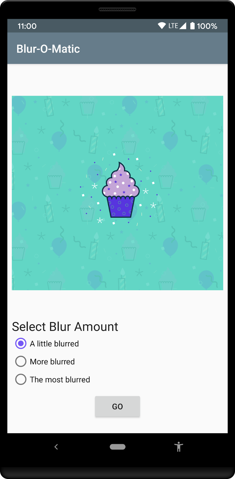 Loaded Image with Blur Options Screen shown to user after image has been selected from gallery, with radio buttons for desired blur amount and Go button to start blur process.