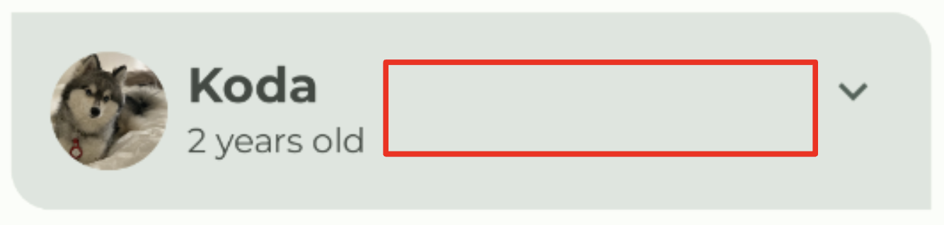 带有分隔符的 Woof 列表项 733f6d9ef2939ab5.png