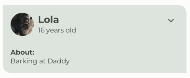 已展开的 Woof ListItem bba8146c6332cc37.png