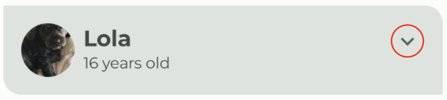 带有按钮的 Woof 列表项 def59d71015c0fbe.png