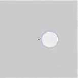 一个非常小的可点击框，通过点按该框旁边的位置可将其扩展为更大的触摸目标。