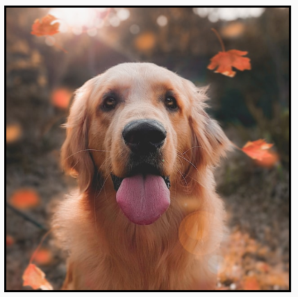 A portrait image cropped to fill a square frame, showing only the central part of the image.