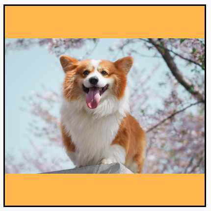 A dog landscape scaled uniformly.