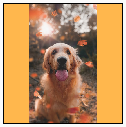 A dog portrait scaled uniformly.
