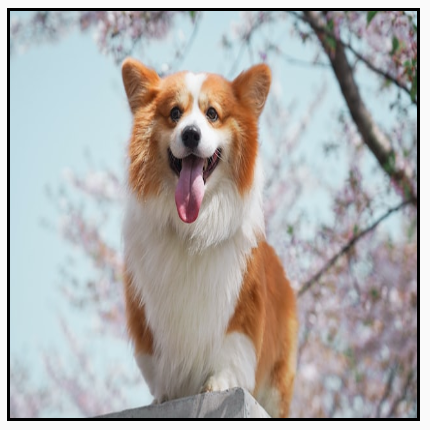 横向图片变形，以完全填充方形框架，从而拉伸图片。