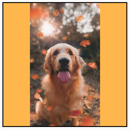 Портретное изображение, масштабированное таким образом, чтобы заполнить высоту квадратной рамки, показывающее изображение целиком, с желтым фоном, видимым слева и справа.