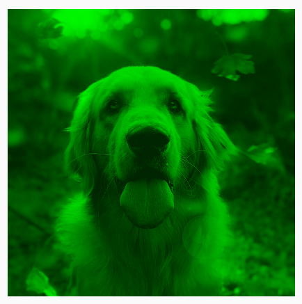 A dog with a green tint applied using BlendMode.Darken, resulting in darker green shades.
