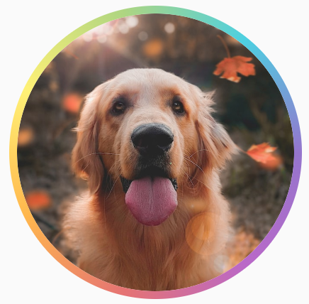 Imagen circular de un perro con un borde de degradado de arcoíris alrededor de la forma circular.
