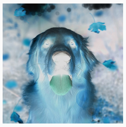 Собака с инвертированными цветами, создающая эффект, похожий на негатив.