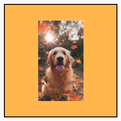 Gambar potret, yang awalnya lebih kecil dari batas persegi, ditampilkan dalam ukuran aslinya di dalam bingkai, dengan latar belakang kuning di sekitarnya.