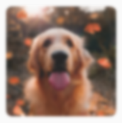 Gambar anjing yang diburamkan, dengan buram yang melampaui batas gambar asli, sehingga membuat tepi gambar menjadi tidak jelas.