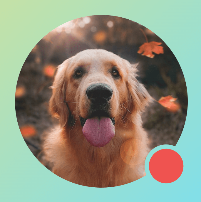 Modifier.drawWithContent für ein Bild mit einem Kreis, der BlendMode.Clear in der App zeigt