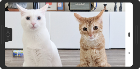 横向きモードでのカットアウトの例