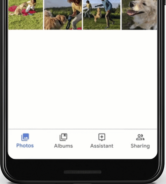 如有要求,Google 助理會在訊息內插入所選相片。