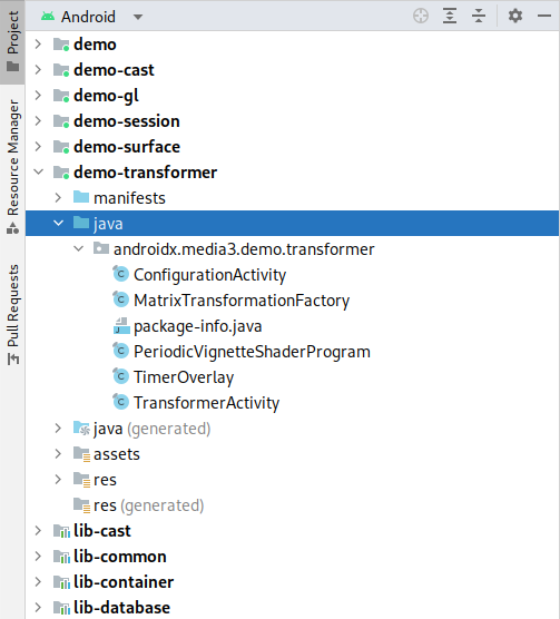 The project in Android Studio