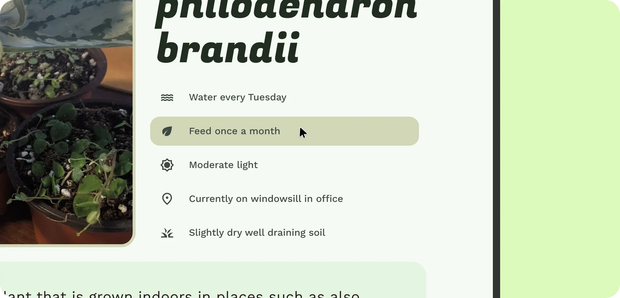 悬停时的其他互动