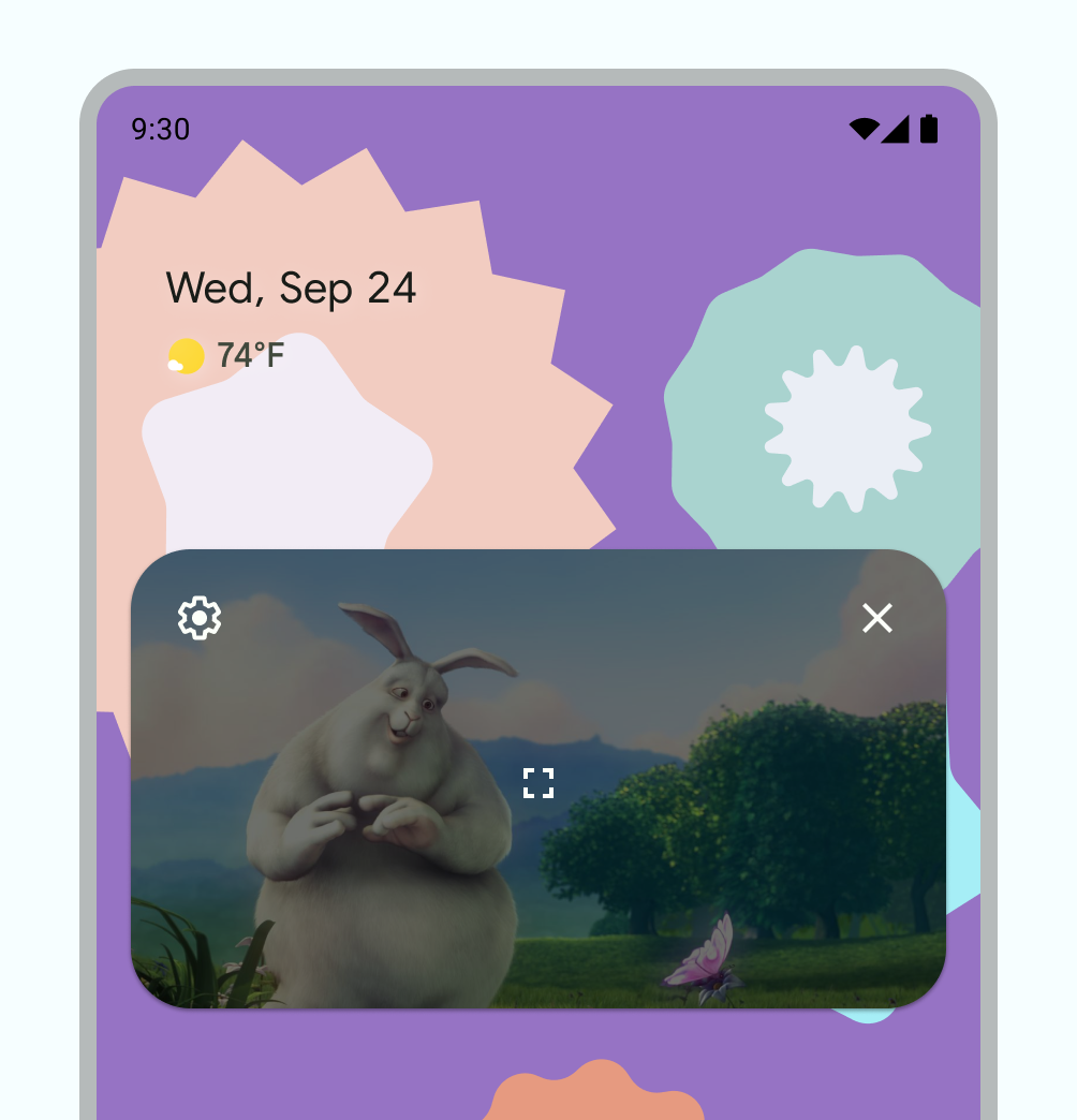 默认的 PiP 控件