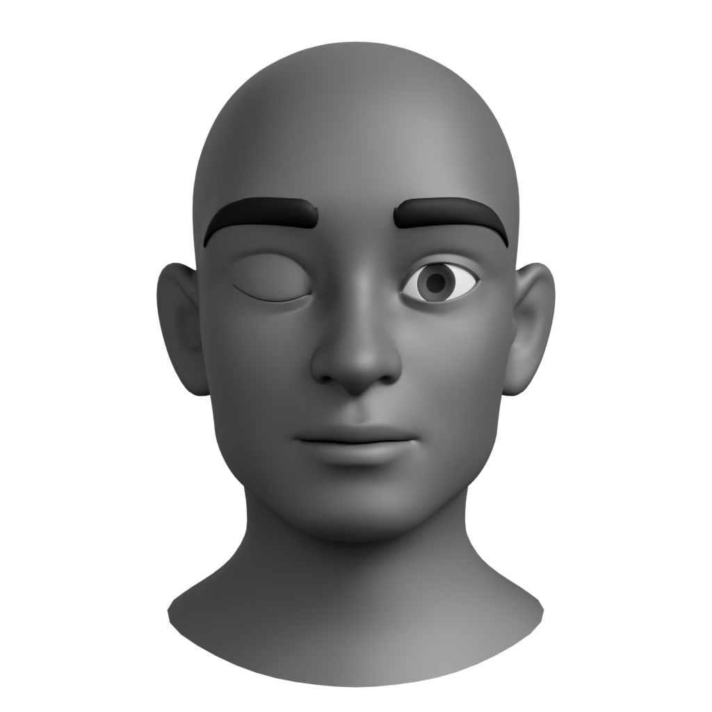 face tracking reference image