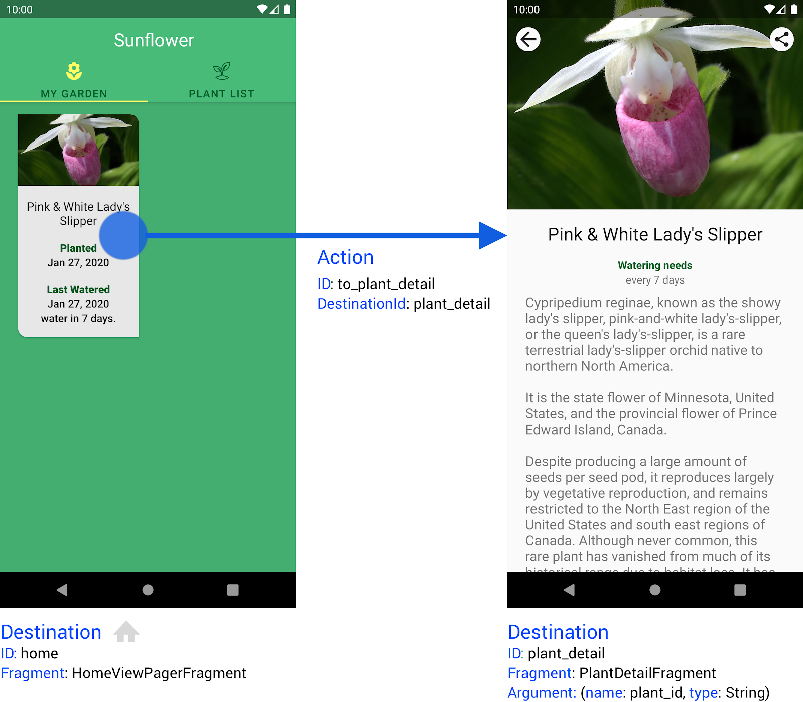 The Sunflower app has two destinations along with an action that
            connects them.