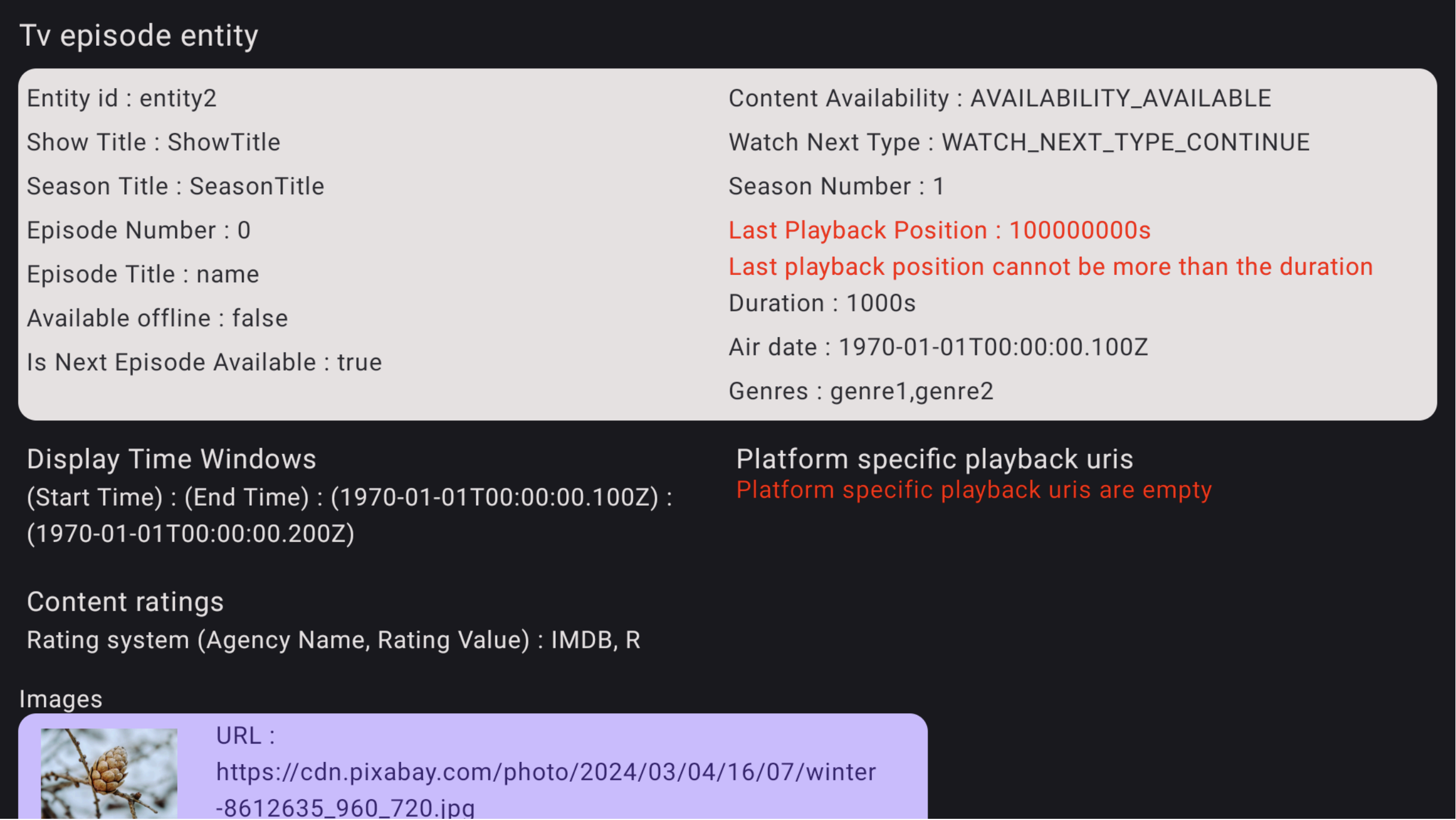 Doğrulama Uygulaması hata ayrıntıları