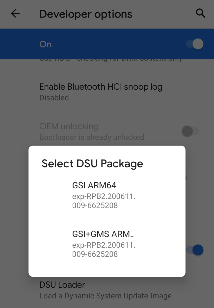 可在其中选择 GSI 的 DSU 加载器界面