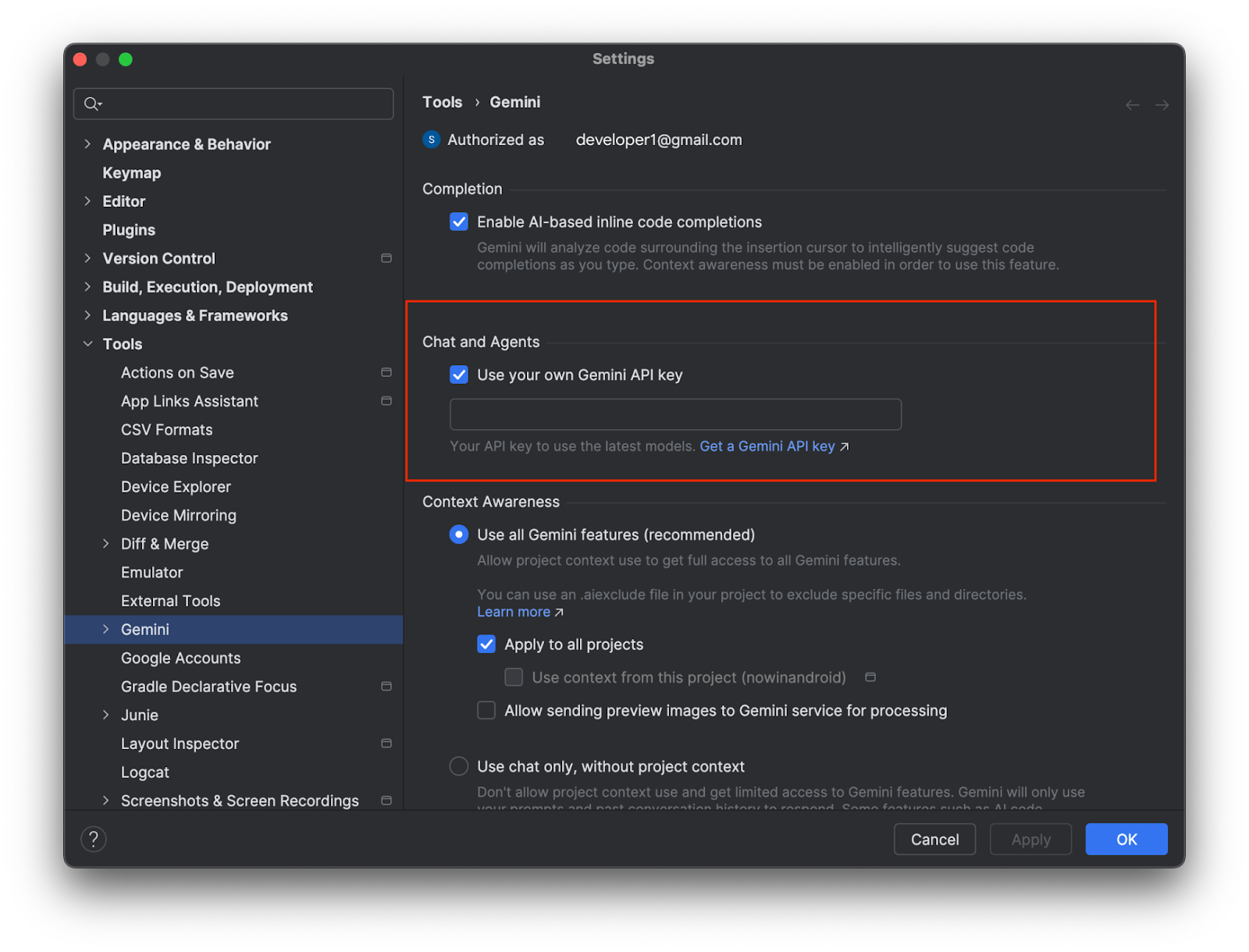 在 Gemini 设置中添加您自己的 API 密钥。
