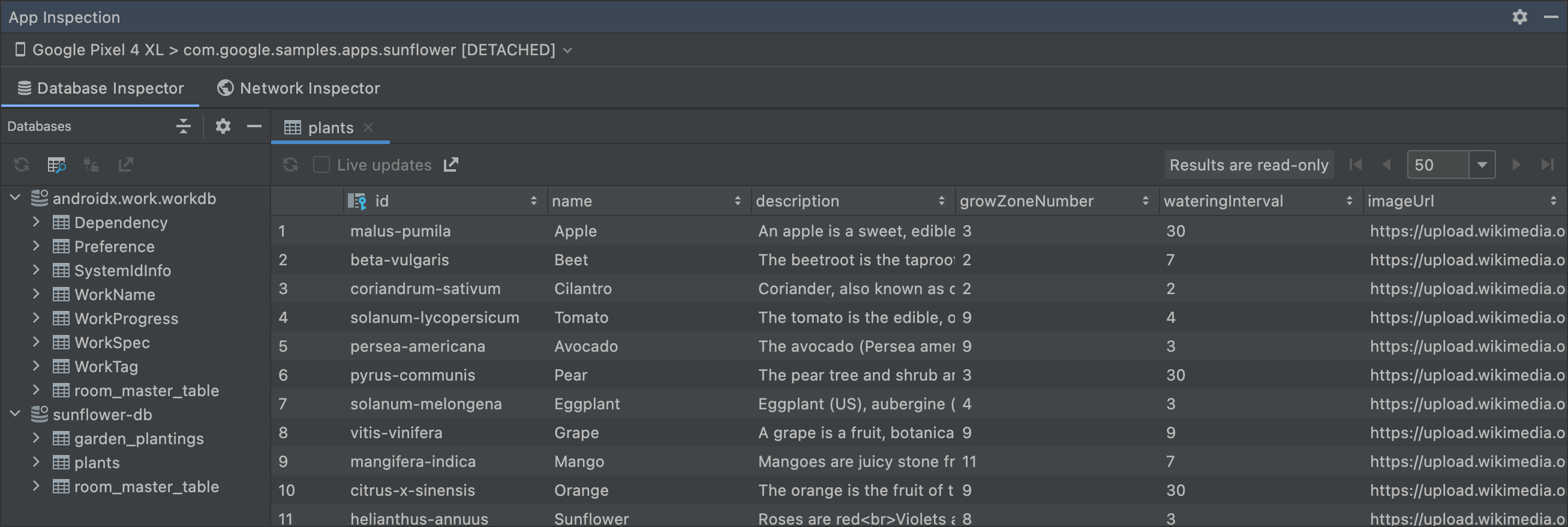 Database inspector in offline mode