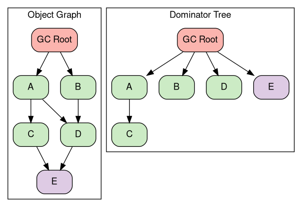 Dominator Tree